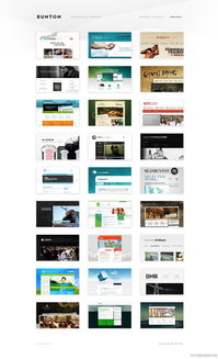 澳大利亚班顿 通过自由网页设计、品牌定制与优质WordPress解决方案塑造卓越在线形象